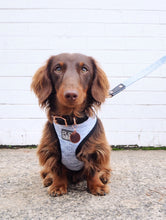 Greys for Days City Collar