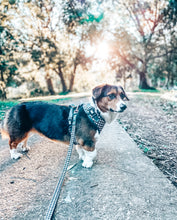 Emerald Envy Harness