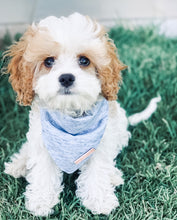 Greys for Days Bandana