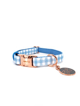 Blueberry Muffin Style Bundle