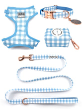 Blueberry Muffin Style Bundle