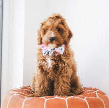 Fresh Blooms Bow (Seconds)