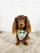 Merry Cactmas Reversible XMAS Bandana